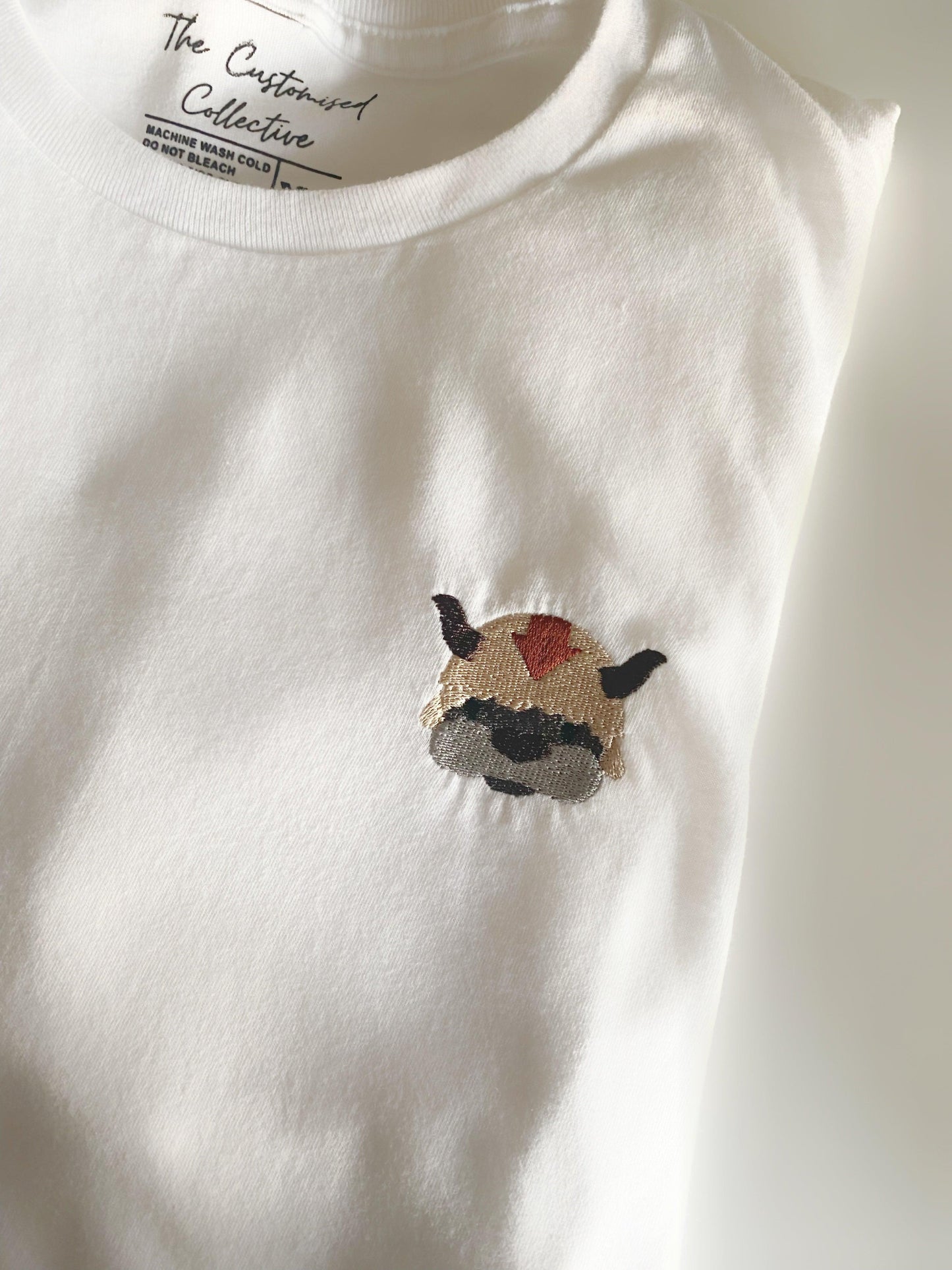 Anime - Appa - Thecustomisedcollective